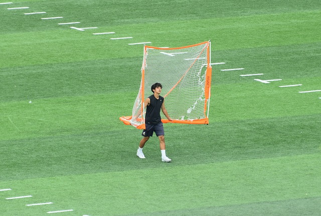 为了媒体和